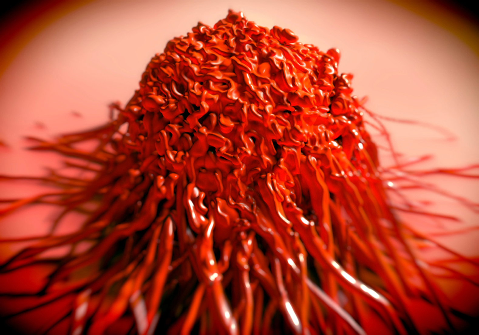 Bay Biosciences Resistant Prostate Cancer 1