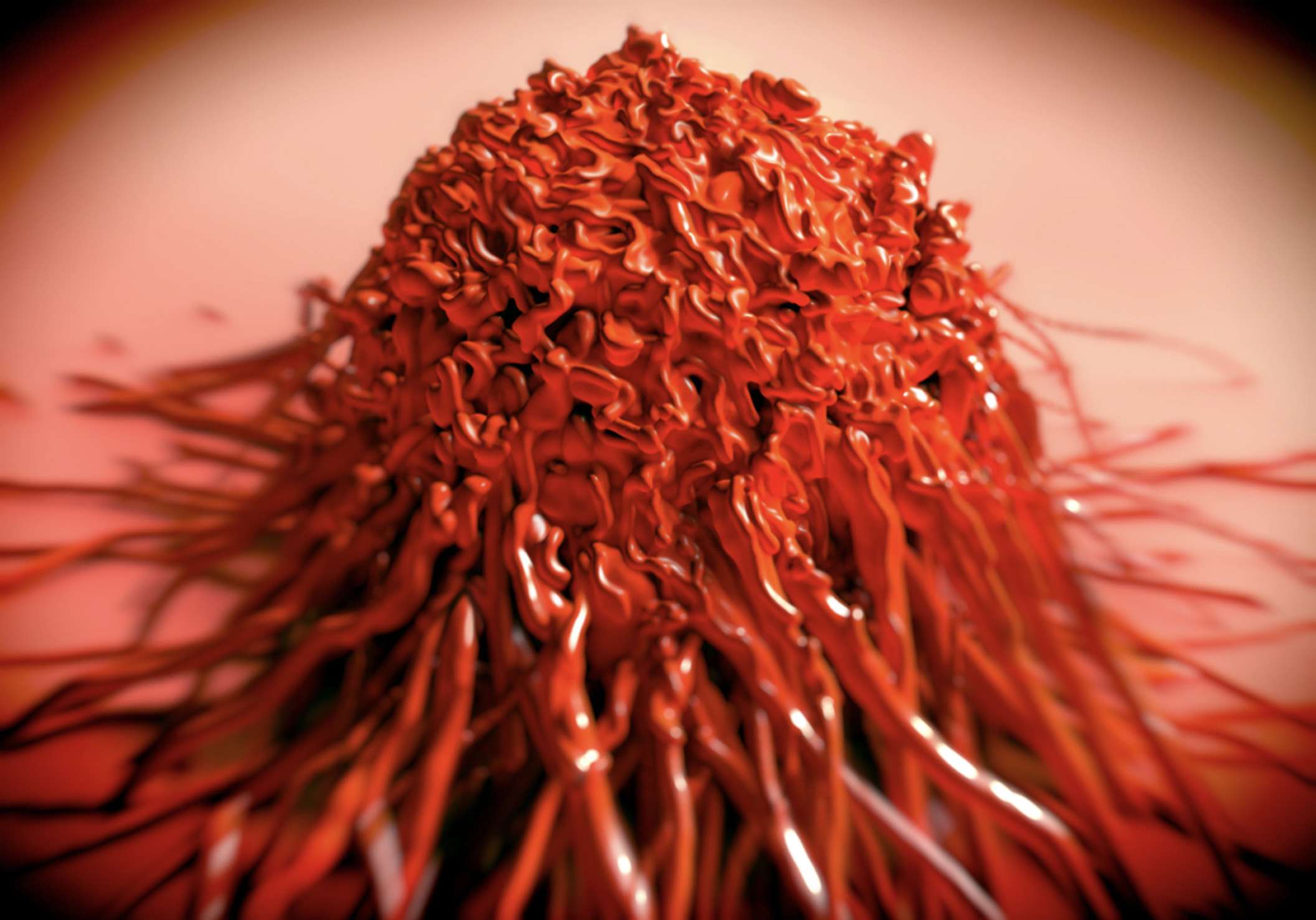 Bay Biosciences Resistant Prostate Cancer