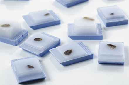 Bay Biosciences Tumor FFPE 1